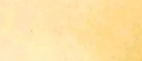 LPUMAA 2026-Loyola Pre-university Manvi Alumni Association